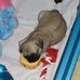 Jeni Lee Peterman - Facebook