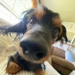 Lee Poe - @lee2fa - Instagram