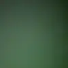 Merralee Pomeroy - @merralee.pomeroy - TikTok