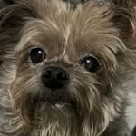 Mary Lee Porterfield - @mlporterfield - Instagram