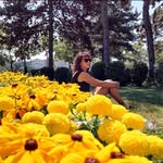 Lee Anne Putnam Cook - @leeanne.cook64 - Instagram