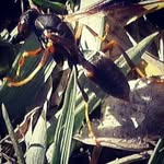 Lee Putnam - @mp20163452 - Instagram