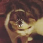 @leepyleep - Instagram
