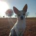 Lee Rainey - Facebook