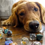 Lee Randolph - @dungeons_dragons_and_doggies - Instagram