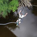 Lee Rankin - @lee.rankin.9041 - Instagram