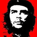 Rasta Lee - @lee.rasta - Instagram