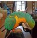 Lee Rathbone - Facebook