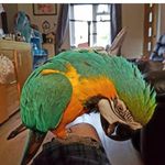 Lee Rathbone - @ldrathbone70 - Instagram