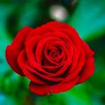 Leeah_Rathbone26 - @leeah.rathbone125 - Instagram