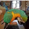 leerathbone5 - @leerathbone5 - TikTok