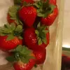 Lee Ray - @lee.ray995 - TikTok