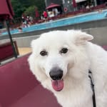 Lee Ray Sheng - @raysheng_ - Instagram