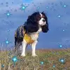 Lee Read6 - @lee.read78 - TikTok