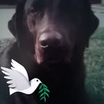 Lee Fedeles - @leeready2021 - Instagram