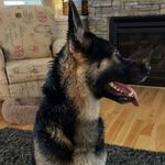 Lee Ann  Redding - @redding04 - Instagram