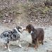 Lee Reece - Facebook