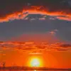lee reece - @lee.reece0 - TikTok
