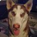 Lee Rhoades - Facebook