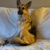 leericker755 - @leericker755 - TikTok