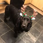 Lee Riddoch - @riddochlee - Instagram