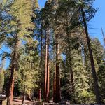 Lee Ridge - @lee.ridge08 - Instagram