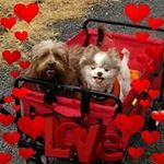@leerigdon - Instagram