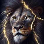 Lee Ringer - @leering50 - Instagram