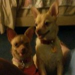 Joatta Lee Rockwell Porter - @piperp3 - Instagram