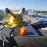 lee Roloff - @leeroloff - Instagram