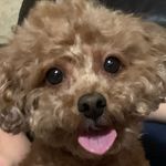 이뿌리 - @leero_ot - Instagram