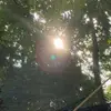 Rossi Lee - @rossilee3 - TikTok
