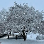 Lee Royer - @weebiggerfarm - Instagram