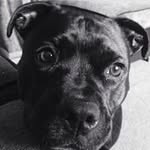 Lee Ruddick - @ruddicklee - Instagram