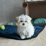 서빈 - @leeru._.leeee - Instagram