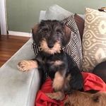 Lee Satterfield - @lee_satterfield - Instagram