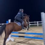 @ayleen.schallner - Instagram