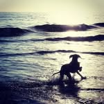 Leanne Schultz - @lee_schultz_ - Instagram