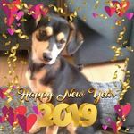 Rina Schwagermann van Leeuwen - @schwagermannvanleeuwen - Instagram
