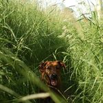 Jason Lee schwarz - @jason.scw - Instagram