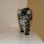 Lee Marzano-Schwarz - @schwarzano - Instagram