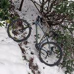 Lee Schwarz - @schwarz_lee_ - Instagram