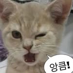 이서연 - @lee._._seayoan - Instagram