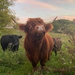 Deb Lee Seeley - @deb.leeseeley - Instagram