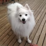 Lee Sellars - @lee_sellars2306 - Instagram