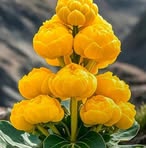 Lee SEng - Facebook