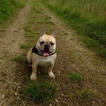 Lee settle - @leesettle1985 - Instagram