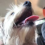 Monty Lee Sewell - @monty_sewel_12 - Instagram