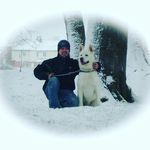 lee sharpe - @sharpe8551 - Instagram