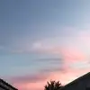 lee_sheldon - @lee_sheldon - TikTok